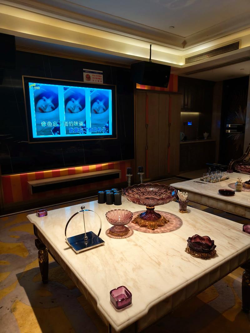 秦皇岛商务ktv-性价比之选-昌黎县ktv预订